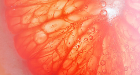 juicy red grapefruit slice, abstract wide banner with free space for text