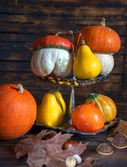 Pumpkins of different shapes, colors and sizes on a silver stand on a wooden background.