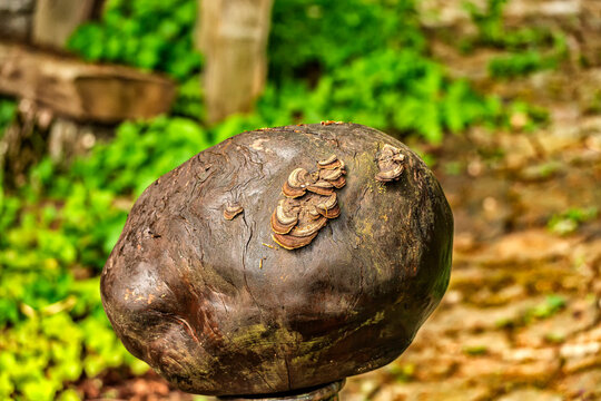 รูปภาพKlotz – เลือกดูภาพถ่ายสต็อก เวกเตอร์ และวิดีโอ2,173 | Adobe Stock