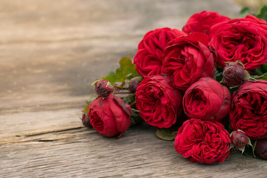 Red roses on wooden board, Valentines Day background.