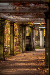 Fototapeta na wymiar Autumn in the Catherine Park in the city of Pushkin. An old avenue with columns, strewn with autumn leaves. Kagulsky (Rumyantsevsky) obelisk.
