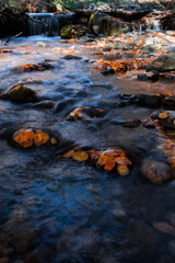 stream in the mountains