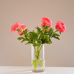 The art of floral decorations. A bouquet made of rose peonies in a glass pot against a neutral background. Beautiful flowers.