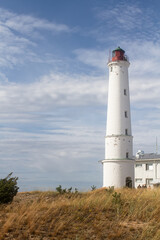 Fototapeta na wymiar Lighthouse On A Windy Day