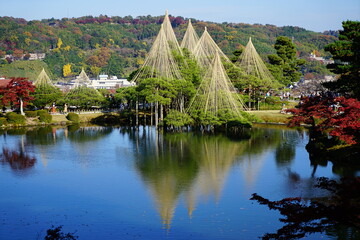快晴の秋の兼六園、霞ヶ池と唐崎松の雪吊り
