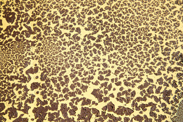 The background is made of a yellow metal surface with a beautiful pattern of peeling brown paint. Backgrounds structure design.