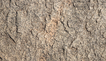 Naklejka premium texture of nature stone - grunge stone surface background 