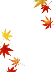 Elements to decorate the corners of the card with bright red maple leaves. botanical illustration of a vector with a watercolor texture. Autumn design for stationary, invitation  and greeting card.