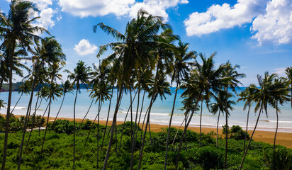 Fototapeta na wymiar Coconut island