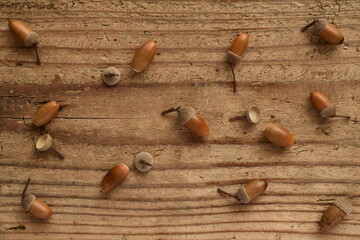 Brown acorns on wooden background.
