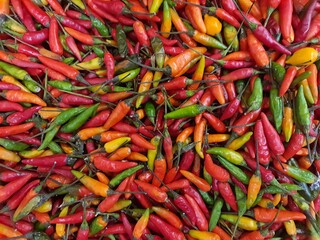 Red hot chili pattern texture background. Close. Landscape. A backdrop of red pepper. Group of red peppers.