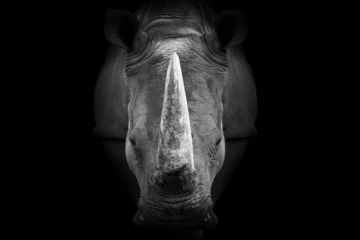 Fototapeten Rhinoceros , animal mammal Rhino , black white wildlife  © Vieriu