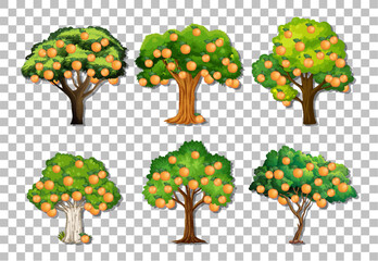 Fototapeta premium Set of variety orange trees on transparent background