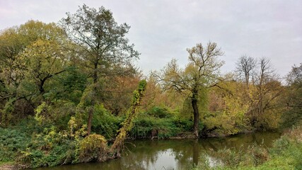 Bystrzyca river on an autumn cloudy day.