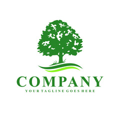 Obraz premium tree logo design inspiration idea