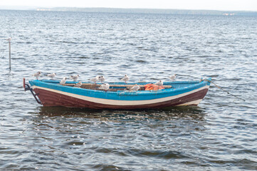 Naklejka na ściany i meble Small fishing boat with seagulls on sea.
