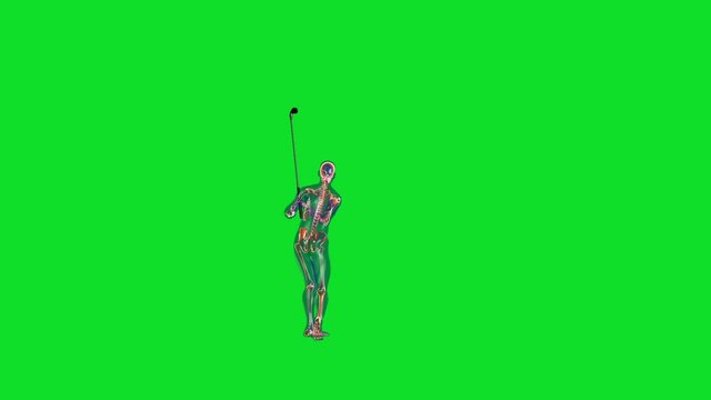 Human x-ray body and skeleton, Golf Hit, Green Screen