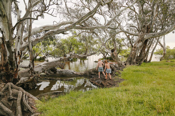 Fototapeta na wymiar Children enjoying summer adventure in nature at Kow Swamp, Victoria Australia