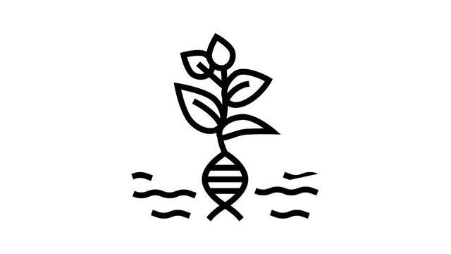 plant genetic animated line icon. plant genetic sign. isolated on white background