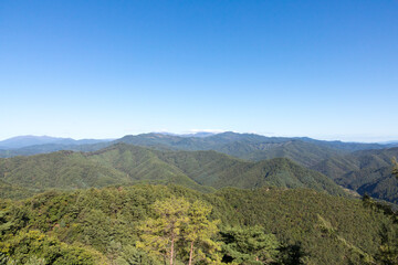 Obraz premium 가을 (fall)