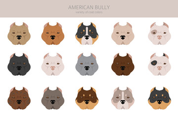 American bully all colours clipart. Different coat colors set