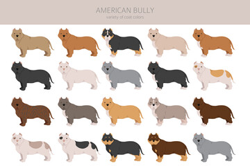 American bully all colours clipart. Different coat colors set