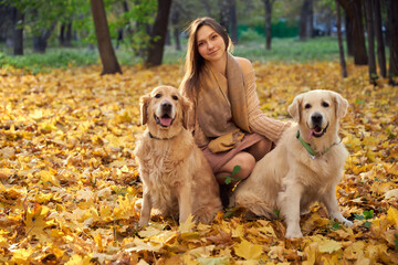 Beautiful girl with two golden retrievers in park