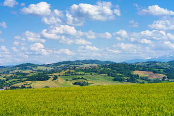 Landscape near the medieval castle of Torrechiara, Parma province, Italy
