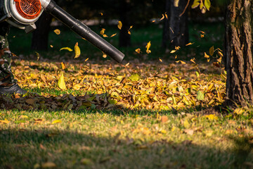 Blower for blowing leaves off the paths. Garden tools in autumn time