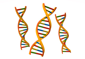 3D illustration with DNA strands on a white background