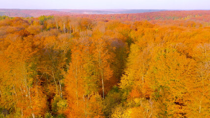 Fototapeta premium White Sky in foliage in autumn. Breathtaking panoramic aerial view of the hills of colorful red, orange and yellow trees