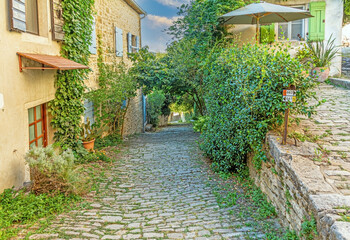 Fototapeta na wymiar Picture of a romantic cobblestone street overgrown with trees and leaves in the medieval town of Motovun in central Istria during the day