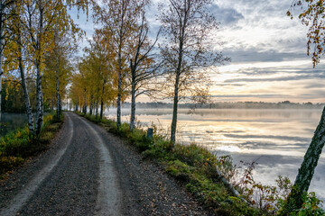 Morning country road in October scenery