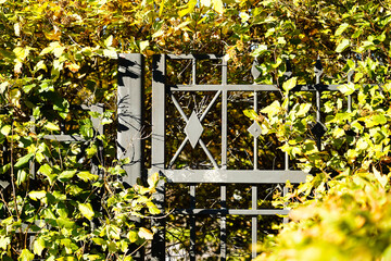Photo of green bush and trees near gray metal fence