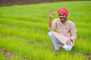 Naklejka na ściany i meble Young indian farmer at green onion agriculture field.
