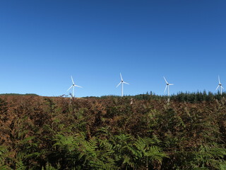 éolienne dans le vent