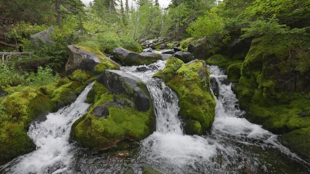 Gimbal shot of river with waterfalls between green stones overgrown with moss. Mount Rainier National Park, United States. Nature of USA