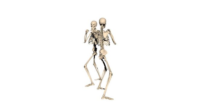two skeletons box with each other