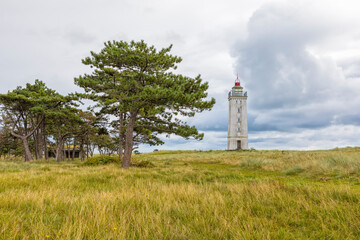 Retired lighthouse at Saksfjed-Hyllekrog nature reserve on the island of Lolland, Denmark