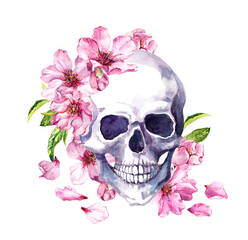 Human skull in pink cherry blossom, spring flowers of sakura, floral petals. Watercolor