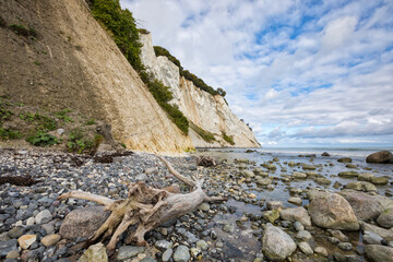 Fototapeta na wymiar View from the shore below the famous chalk cliffs of Møn, Denmark