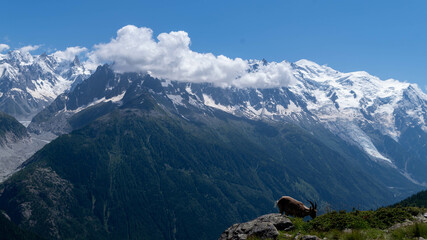 Chamonix Mont-Blanc