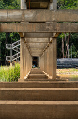 Obraz premium A view of the concrete pillars under the jetty. Selective focus points