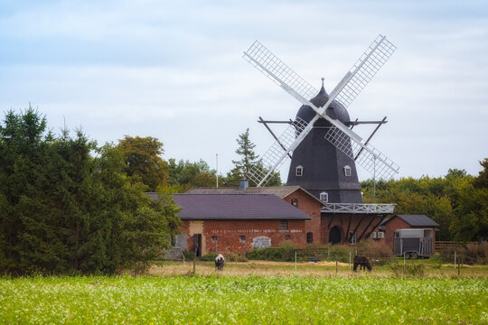 Old Windmill At Majbølle, Lolland, Denmark