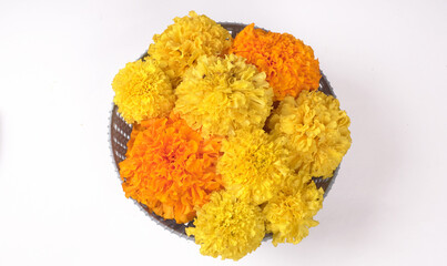 Yellow flowers of Marigold isolated on white background.