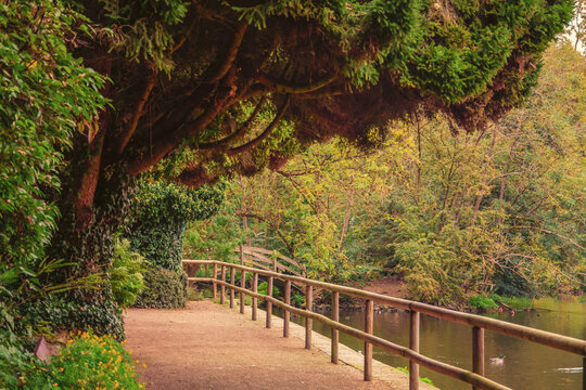 beautiful autumn photos in sprud park in bavaria ingolstadt