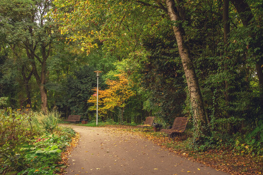 beautiful autumn photos in sprud park in bavaria ingolstadt