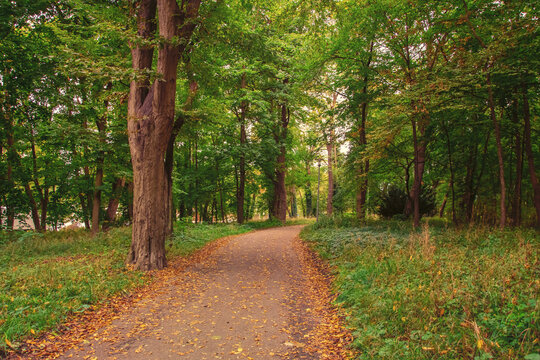 beautiful autumn photos in sprud park in bavaria ingolstadt