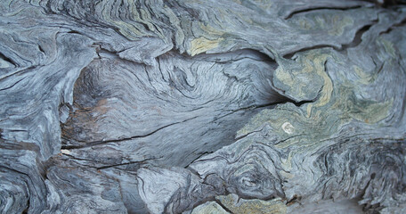 Driftwood texture , Oregon 