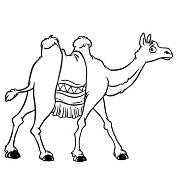 Camel animal character cartoon isolated image illustration coloring cartoon